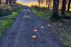 Crossstrecke_links_25km_rechts_16km